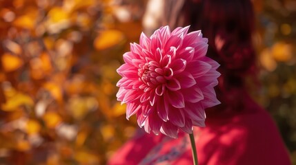 Close up of a vibrant pink dahlia flower with a blurred autumn background