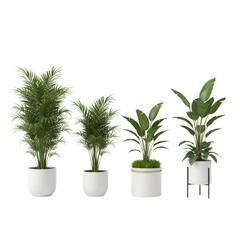 Assortment of potted plants in white minimalist pots with greenery against transparency