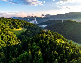 Aerial view of a lush, verdant forest landscape under a partially cloudy sky, with light breaking through the trees