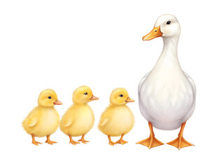 Fototapeta premium Watercolor White duck with three yellow ducklings isolated on a transparent background