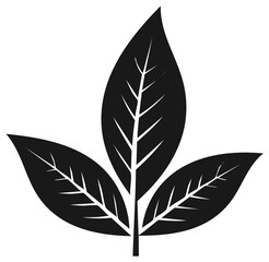 Obraz premium Three Point Leaf Vector Illustration Botanical Foliage Graphic Art Element