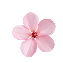 Fototapeta premium Elegant pink flower blossom against a dark background showcasing delicate details and simplicity