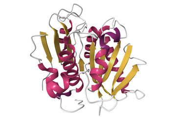Crystal structure of PETase from Ideonella sakaiensis. 3D cartoon model, secondary structure color scheme, PDB 5xjh