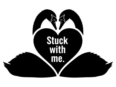 Stylized graphic illustration featuring two black swans forming a heart, symbolizing lasting love and devotion