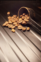 Close-up of roasted coffee beans near a sorting spoon.
