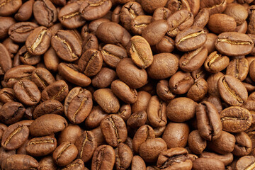Full frame of freshly roasted coffee beans.