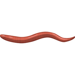Close up of a single pink earthworm with segmented body texture shown in profile against a white background isolated