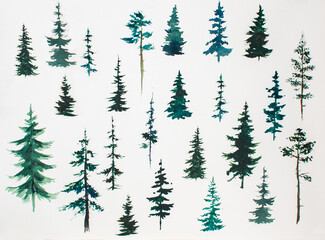 A variety of Christmas trees on a white background, painted in watercolor