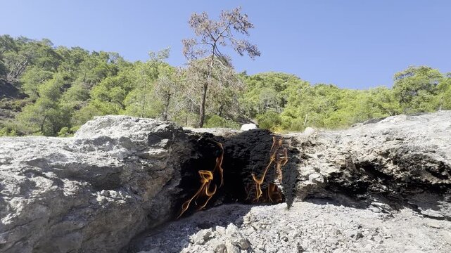 Fire rocky landscape.a unique place natural gas