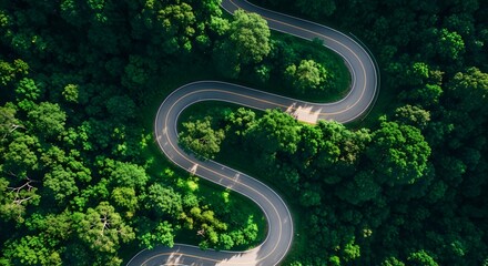 Aerial view of a winding road through a lush green forest