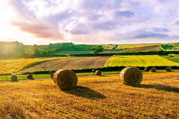 beautiful rustic landscape of scenic evening sunset in agricultural field with yellow hay stacks, golden grass, green trees and amazing cloudy sky on background