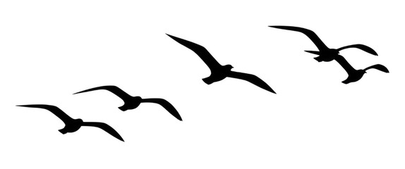 Fototapeta premium Abstract geometric shapes transparent background cutout png