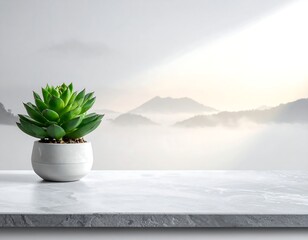 Succulent plant on a marble surface, foggy mountain backdrop