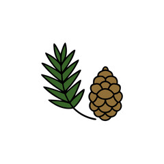 pine cone isolated