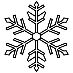 Detailed snowflake with intricate design