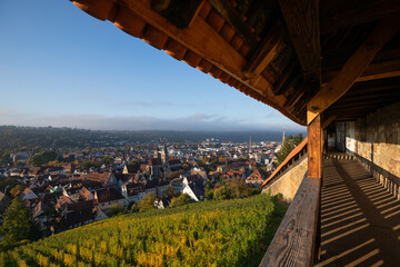 Fototapeta premium Aussicht von der Esslinger Burg auf die Altstadt im goldenen Morgenlicht Esslingen Baden-Württemberg Deutschland