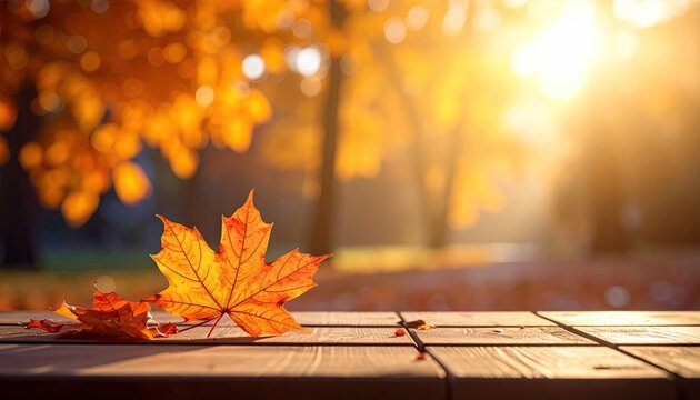 Golden maple leaves on wood, sunlit autumn backdrop - Powered by Adobe