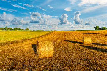 rural summer landscape of green field with golden wheaten hay stacks among farmland fields in a beautiful valley lowland
