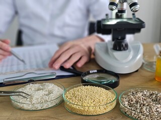 Research on various grains with microscope in laboratory setting during daytime concept