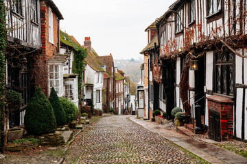 Fototapeta premium A beautiful cobbled street in the historic town of Rye in East Sussex