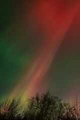 A vibrant, colorful display of the Aurora Borealis  over Alaska from  the severe geomagnetic storm of Veterans Day 2025.