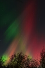 A vibrant, colorful display of the Aurora Borealis  over Alaska from  the severe geomagnetic storm of Veterans Day 2025.