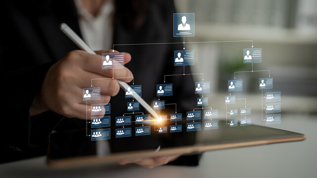 Corporate org chart and team structure show hierarchy, team, and structure for clear organization, management, and operational planning Latch