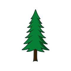 green christmas tree