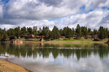 Geese swimming at Keyhole State Park