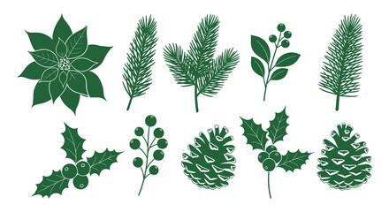 Collection of elegant green christmas botanical elements including poinsettia pine holly and berries