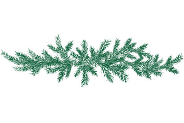 Obraz premium christmas tree branches isolated.