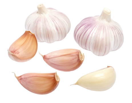 Whole garlic bulbs and separate cloves
