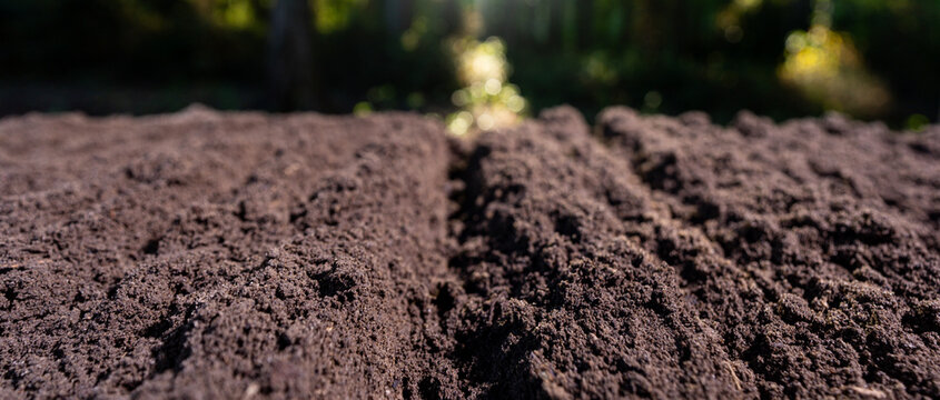 Closeup of dirt and clay in farm field. Soil for planting. Cultivated land. Fertile soil with compost. Soil background.