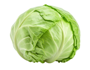 Round green cabbage head, layers of crisp, light leaves
