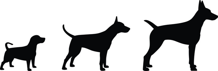 Dog silhouette vector set, small to large size comparison, growth stages, black canine shapes, cad drawing flat vector illustration