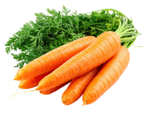 Pile of orange carrots with vibrant green leafy tops