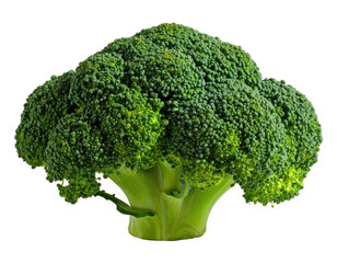 Green, textured broccoli floret against a dark backdrop