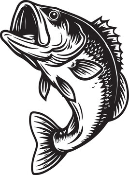 largemouth bass jumping with mouth open on white background fish leaping