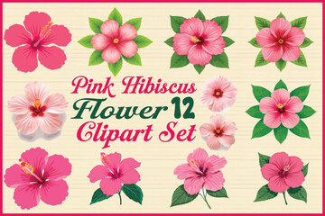 Vibrant pink hibiscus flowers for summer designs