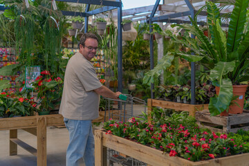 Adult man selecting green plants and colorful flowers while pushing a shopping cart through a large greenhouse store
