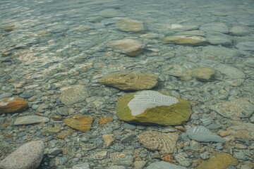 crystal-clear shallow water