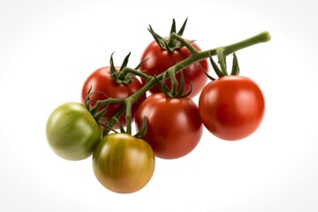 tomatoes on a green stem