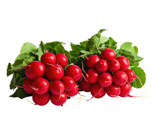 Two clusters of vibrant red radishes with green leafy tops