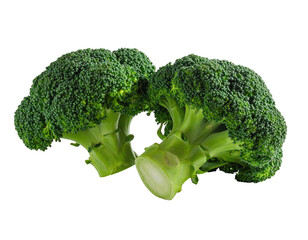 Two heads of fresh, green broccoli