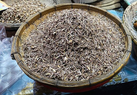 Betel nuts or areca nuts in slice shapes also known as katri supari in Bangladesh