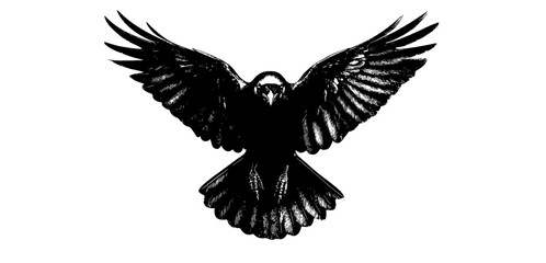 a black and white drawing of a raven in flight, showcasing its wings spread widebeak, bird, black, crow, eagle, flap, flight, fly, raven, sky, spread, white, wing 