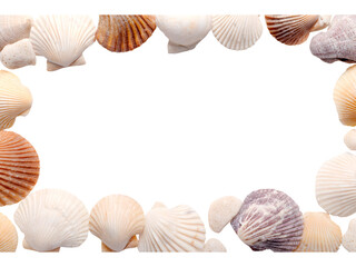 Obraz premium Decorative seashell frame isolated on transparent background, perfect for beach and summer visuals.