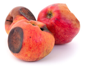 Rotten apples isolated on white background