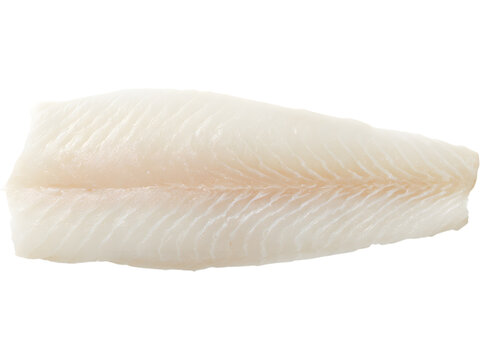 Top view of haddock fillet isolated on transparent background, perfect for seafood and healthy food visuals..