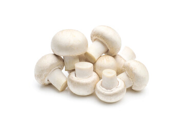 Champignon mushroom isolated on white background